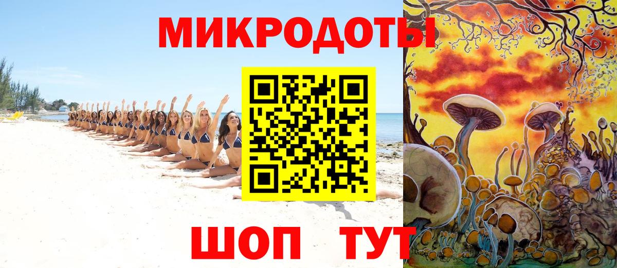 Псилоцибиновые грибы Cubensis Кольчугино